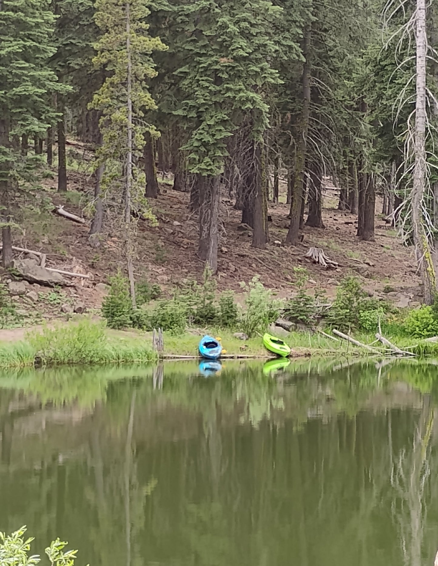 Need a Kayak? We Haul