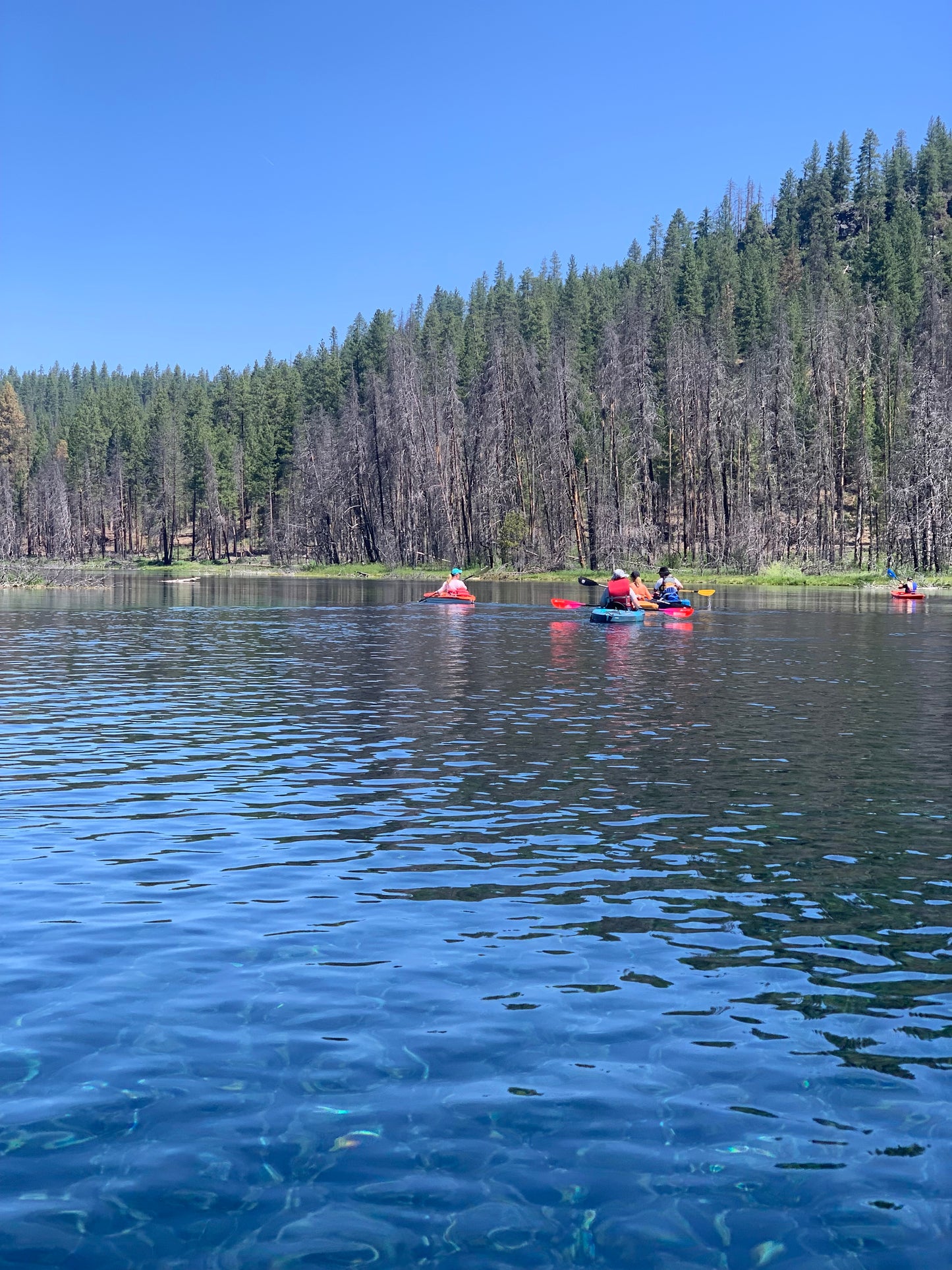 Guided Spring Creek Excursion