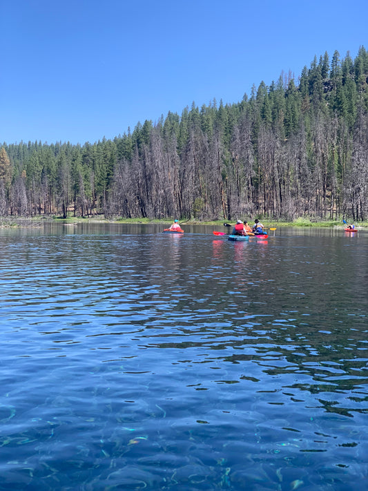 Spring Creek Excursion