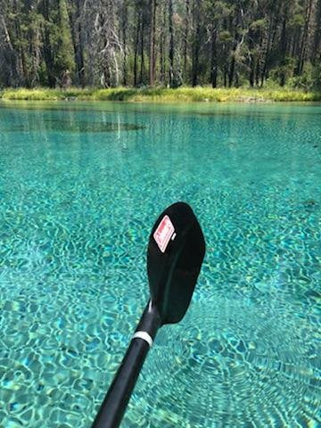 Guided Spring Creek Excursion